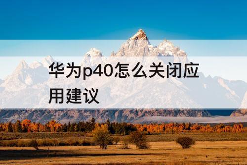 华为p40怎么关闭应用建议
