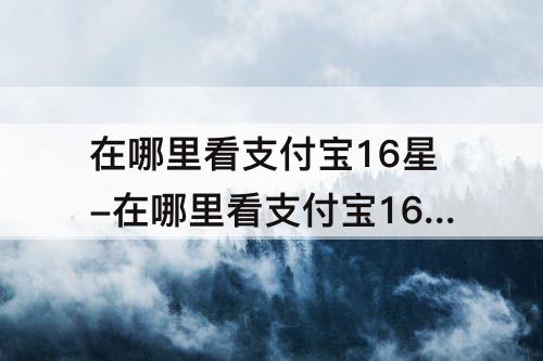 在哪里看支付宝16星-在哪里看支付宝16星有什么用