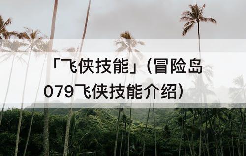 「飞侠技能」(冒险岛079飞侠技能介绍)