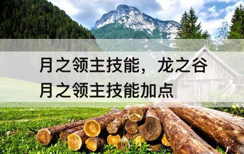 月之领主技能，龙之谷月之领主技能加点