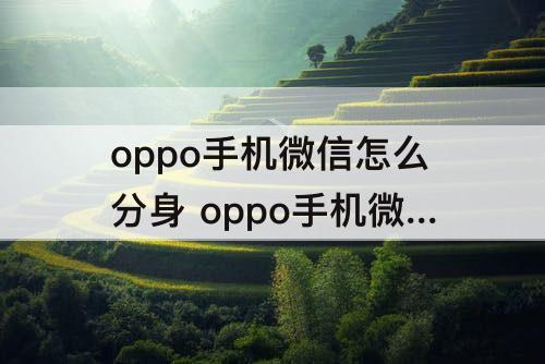 oppo手机微信怎么分身 oppo手机微信怎么分身打不开