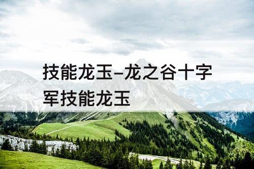 技能龙玉-龙之谷十字军技能龙玉