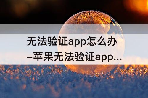 无法验证app怎么办-苹果无法验证app怎么办需要互联网连接验证