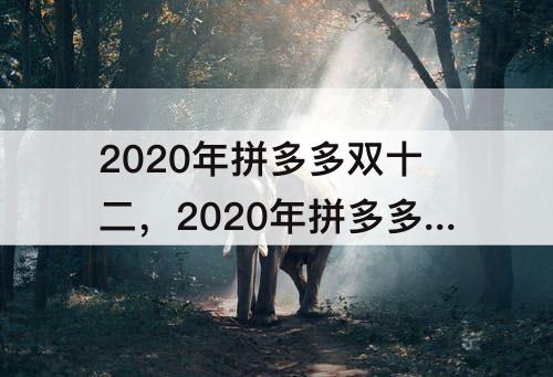 2020年拼多多双十二，2020年拼多多双十二什么时候开始