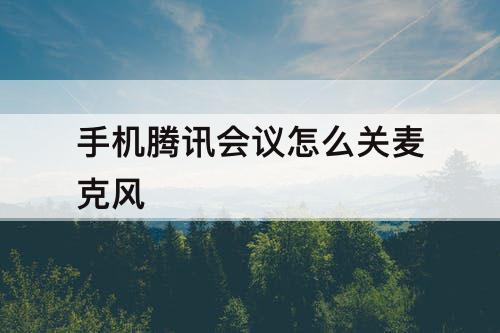 手机腾讯会议怎么关麦克风