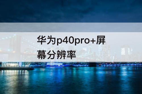 华为p40pro+屏幕分辨率