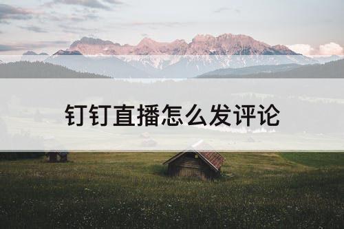 钉钉直播怎么发评论