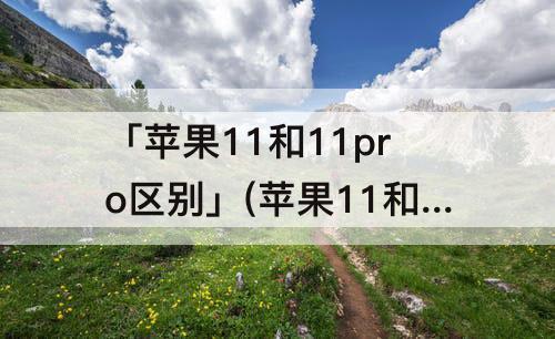 「苹果11和11pro区别」(苹果11和11pro区别和max)