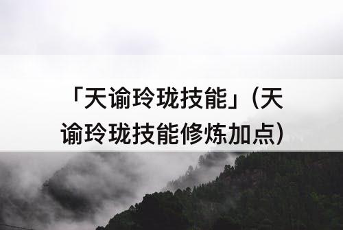 「天谕玲珑技能」(天谕玲珑技能修炼加点)