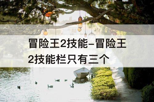 冒险王2技能-冒险王2技能栏只有三个
