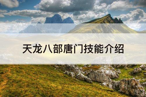 天龙八部唐门技能介绍