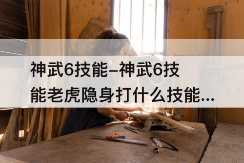 神武6技能-神武6技能老虎隐身打什么技能书