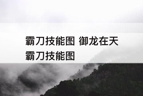 霸刀技能图 御龙在天霸刀技能图