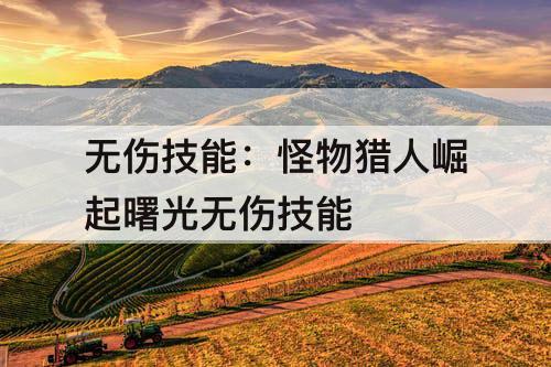 无伤技能：怪物猎人崛起曙光无伤技能
