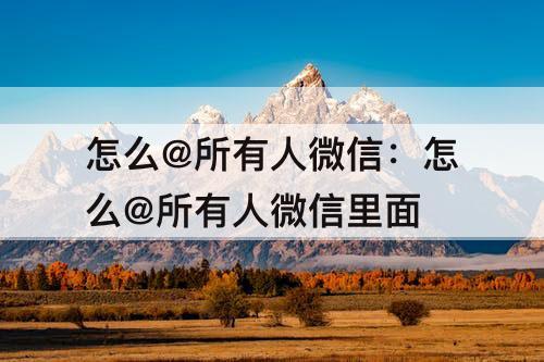 怎么@所有人微信：怎么@所有人微信里面