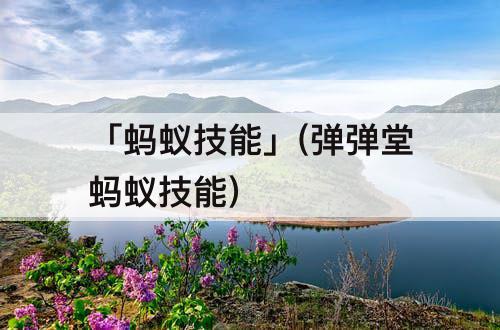 「蚂蚁技能」(弹弹堂蚂蚁技能)