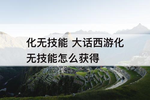化无技能 大话西游化无技能怎么获得