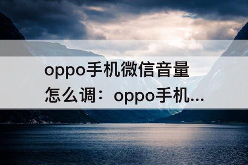 oppo手机微信音量怎么调：oppo手机微信音量怎么调大小