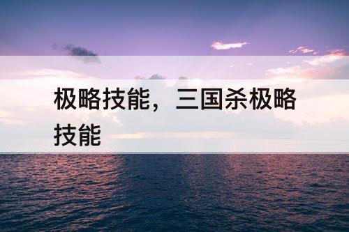 极略技能，三国杀极略技能