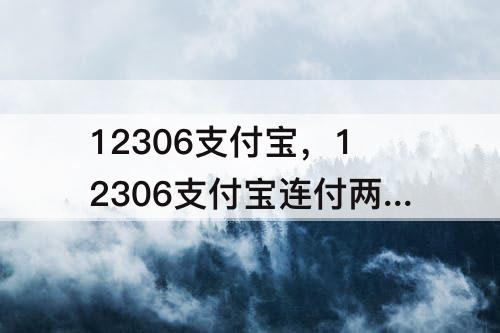 12306支付宝，12306支付宝连付两次钱怎么办