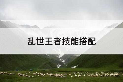 乱世王者技能搭配