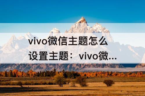 vivo微信主题怎么设置主题：vivo微信主题怎么设置主题皮肤