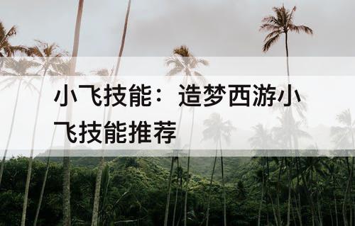 小飞技能：造梦西游小飞技能推荐