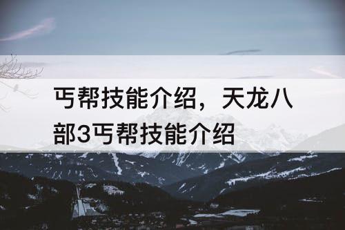 丐帮技能介绍，天龙八部3丐帮技能介绍