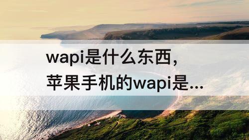 wapi是什么东西，苹果手机的wapi是什么东西