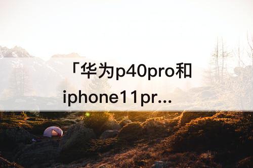 「华为p40pro和iphone11promax哪个好」(华为p40pro和iphone11promax哪个好?)