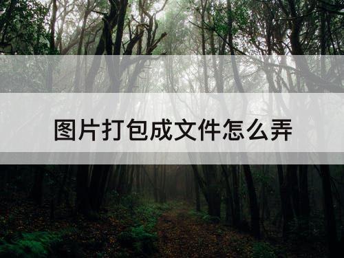 图片打包成文件怎么弄