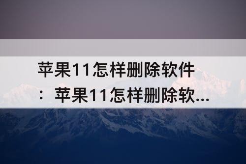 苹果11怎样删除软件：苹果11怎样删除软件更新
