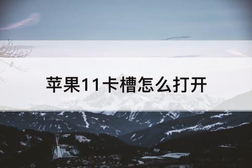 苹果11卡槽怎么打开