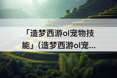 「造梦西游ol宠物技能」(造梦西游ol宠物技能刷满)