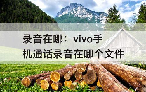 录音在哪：vivo手机通话录音在哪个文件