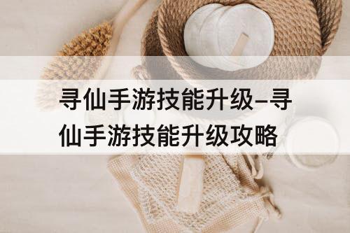 寻仙手游技能升级-寻仙手游技能升级攻略
