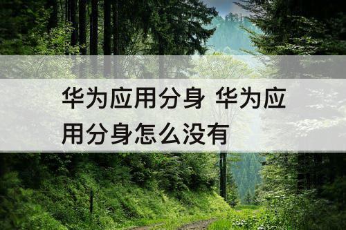 华为应用分身 华为应用分身怎么没有