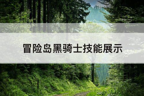 冒险岛黑骑士技能展示