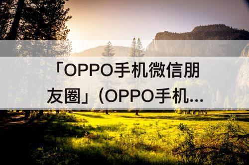 「OPPO手机微信朋友圈」(OPPO手机微信朋友圈视频没有声音是怎么回事)
