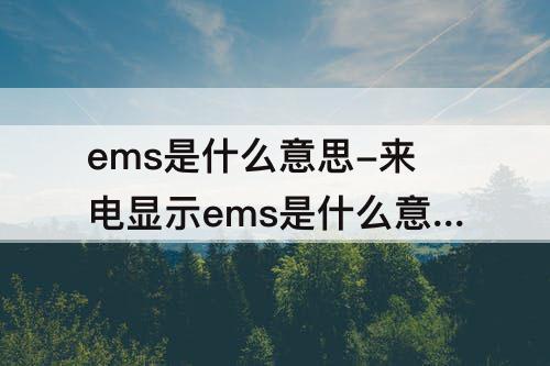 ems是什么意思-来电显示ems是什么意思