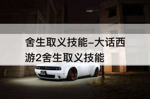 舍生取义技能-大话西游2舍生取义技能