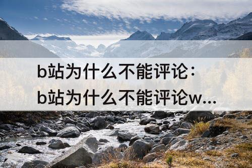 b站为什么不能评论：b站为什么不能评论wa