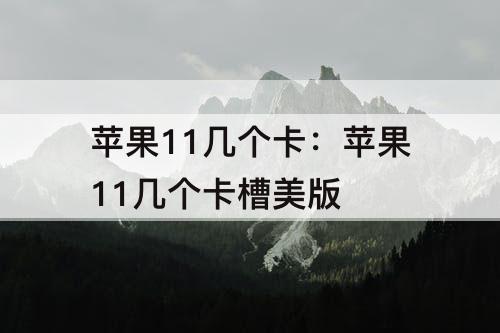 苹果11几个卡：苹果11几个卡槽美版