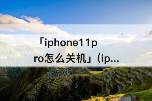 「iphone11pro怎么关机」(iphone11pro怎么关机不了)