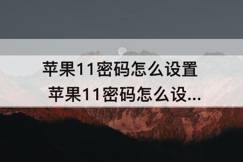 苹果11密码怎么设置 苹果11密码怎么设置6位数