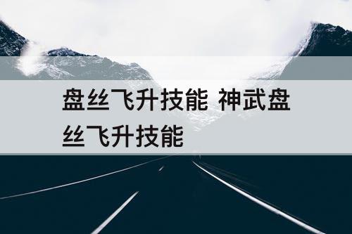 盘丝飞升技能 神武盘丝飞升技能