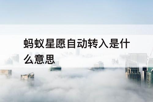 蚂蚁星愿自动转入是什么意思