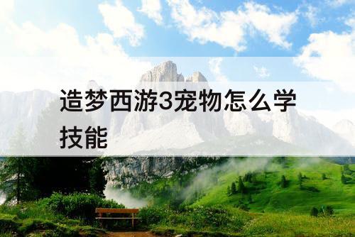 造梦西游3宠物怎么学技能
