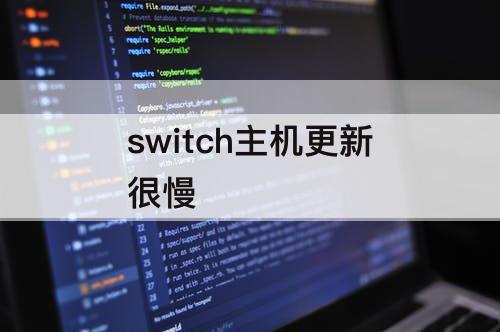 switch主机更新很慢