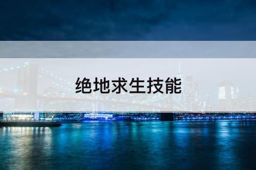 绝地求生技能